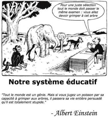 Albert Einstein et notre système éducatif Albert Einstein et notre système éducatif