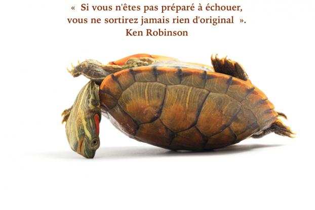 Ken Robinson