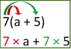 Distributivité - Développer en 4ème