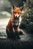 Le personnage du renard