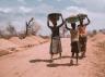 La question des ressources alimentaires en 5ème
