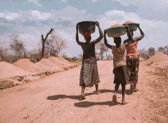 La question des ressources alimentaires en 5ème