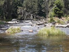 L'enfant et la rivière d'Henri Bosco 