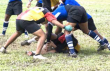 Le rugby et l'importance des règles 