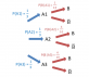 Probabilités conditionnelles & indépendance