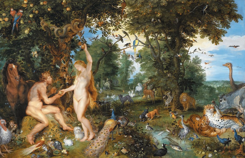 Adam et Eve de Rubens