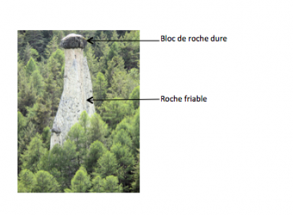 Roche SVT 6ème