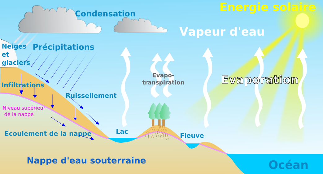 Le cycle de l'eau